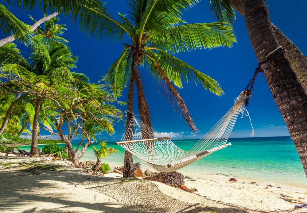 Coconut palm fringed beach with hammock, fiji