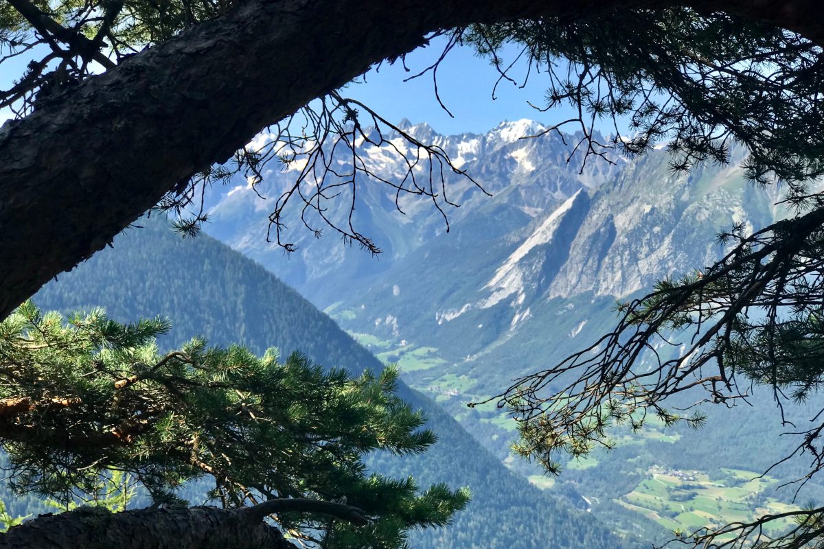 Verbier views in summer looking to Val Ferret