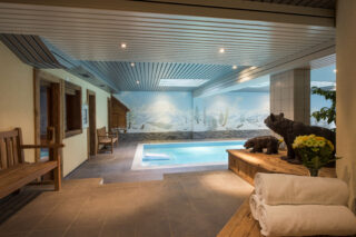 Swimming pool in building spa area at Apartment Hickory in Verbier